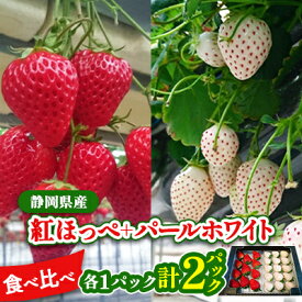 【ふるさと納税】静岡県産いちご　赤&白イチゴ　食べ比べ2パック【配送不可地域：離島・北海道・沖縄県・東北・中国・四国・九州】【1127878】