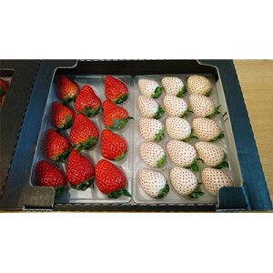 �y�ӂ邳�Ɣ[�Łz�É����Y�������@��&���C�`�S�@�H�ה��2�p�b�N�y�z���s�n��F�����E�k�C���E���ꌧ�E���k�E�����E�l���E��B�z�y1127878�z