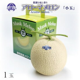 【ふるさと納税】【通年出荷】アローマメロン(小玉) 1玉入【配送不可地域：離島・北海道・沖縄県】【1170104】