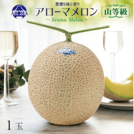 【ふるさと納税】【通年出荷】アローマメロン(山等級) 1玉入【品格溢れる高級品】【配送不可地域：離島・北海道・沖縄県】【1170113】