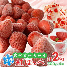 【ふるさと納税】掛川産『ミズノ農園の完熟冷凍紅ほっぺ』500g×4袋_ いちご 苺 イチゴ 紅ほっぺ 冷凍 果物 くだもの フルーツ ジャム スムージー かき氷 産直 産地直送 静岡県 掛川市 送料無料 【配送不可地域：離島・北海道・沖縄県・東北・中国・四国・九州】【1234934】