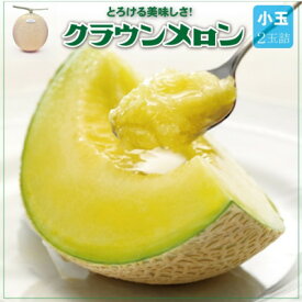 【ふるさと納税】【通年出荷】クラウンメロン(小玉) 2玉詰【配送不可地域：離島・北海道・沖縄県】【1486520】