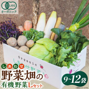 【ふるさと納税】しあわせ野菜畑の有機野菜  (Lセット、Mセット、Sセット)【配送不可地域:離島・北海道・沖縄県・四国・九州】【G1493216】