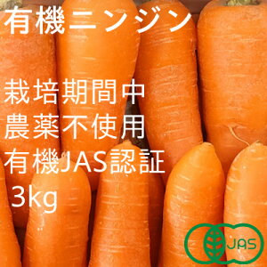 yӂ邳Ɣ[ŁzL@jW@͔|Ԓ_sgp@L@JASF؁@~G(12`3)yzsnFEkCEꌧzy1568578z