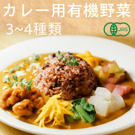 【ふるさと納税】有機野菜でカレーを作ろう　カレーに使える有機野菜を3～4種類　定番野菜だからなんにでも使えます。【配送不可地域：離島・北海道・沖縄県・四国・九州】【1568592】