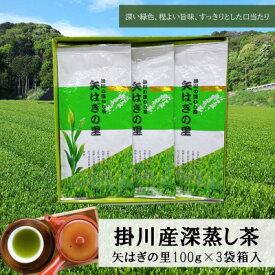 【ふるさと納税】「矢はぎの里」100g×3本箱入り 掛川市産深蒸し茶 旨いっ!茶農家直送こだわりの味_ 煎茶 お茶 静岡茶 掛川茶 深蒸し 茶葉 静岡県 掛川市 送料無料 【配送不可地域：離島・沖縄県】【1601931】
