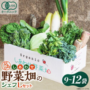 【ふるさと納税】しあわせ野菜畑のシェフセット  (Lセット、Mセット、Sセット)【配送不可地域:離島・北海道・沖縄県・四国・九州】【G1608189】
