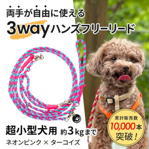 yӂ邳Ɣ[Łzyp[hz3WAYnYt[[h(^p)lIsN×^[RCYyS[f}}zyzsnFEꌧzy1625460z