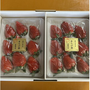 yӂ邳Ɣ[Łzys\zyҍz1 (12pbN 450g×2)yzsnFEkCEꌧElEBzy1638885z