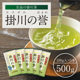 【ふるさと納税】高級深蒸し掛川茶「掛川の誉」100g×5本セット【配送不可地域：離島・沖縄県】【1650539】