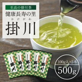 【ふるさと納税】特上深蒸し掛川茶「健康長寿の里 掛川」100g×5本セット【配送不可地域：離島・沖縄県】【1650540】