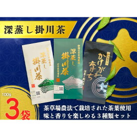 【ふるさと納税】深蒸し掛川茶三昧セット　100g×3袋(ギフト箱入)_ 煎茶 お茶 静岡茶 掛川茶 深蒸し 茶葉 静岡県 掛川市 送料無料 【配送不可地域：離島・沖縄県】【1652728】