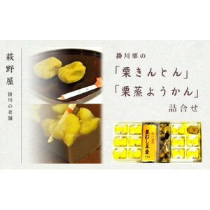yӂ邳Ɣ[Łz쉮 |I IƂ×12 Ir×2{ lߍ킹yzsnFEkCEꌧElEBzy1662775z
