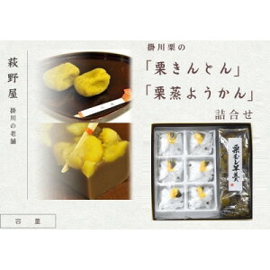yӂ邳Ɣ[Łz쉮 |I IƂ×6 Ir×1{ lߍ킹yzsnFEkCEꌧElEBzy1662880z