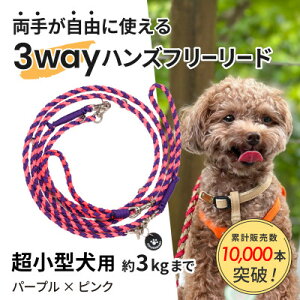 yӂ邳Ɣ[Łzyp[hz3WAYnYt[[h(^p)p[v×sNyS[f}}zyzsnFEꌧzy1663355z