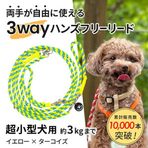 yӂ邳Ɣ[Łzyp[hz3WAYnYt[[h(^p)CG[×^[RCYyS[f}}zyzsnFEꌧzy1663358z