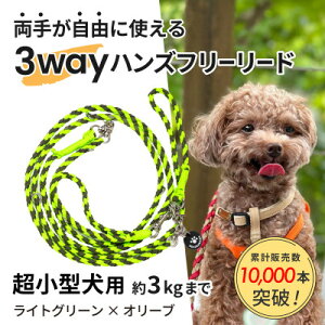 yӂ邳Ɣ[Łzyp[hz3WAYnYt[[h(^p)CgO[×I[uyS[f}}zyzsnFEꌧzy1663366z