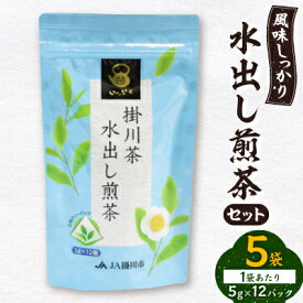【ふるさと納税】水出し煎茶セット(5g×12パック)×5袋_ お茶 煎茶 茶葉 ティーバッグ 静岡茶 掛川茶 静岡県 掛川市 送料無料 【配送不可地域：離島・沖縄県】【1670593】