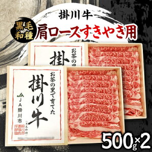 yӂ邳Ɣ[Łz|싍(јa)[X₫p 500g×2(Ⓚ)yzsnFEkCEꌧElEBzy1670600z