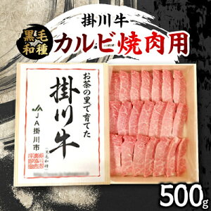 yӂ邳Ɣ[Łz|싍(јa)Jrēp 500g(Ⓚ)yzsnFEkCEꌧElEBzy1670601z