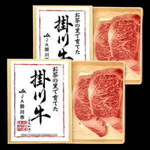 【ふるさと納税】掛川牛(黒毛和種)ロースステーキ 500g×2(冷凍)【配送不可地域:離島・北海道・沖縄県・四国・九州】【1670608】