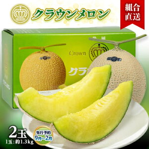 【ふるさと納税】【組合直送】静岡県が誇る温室高級「クラウンメロン」2玉(1玉:約1.3kg) 9月〜2月【配送不可地域:離島・北海道・沖縄県】【1671473】