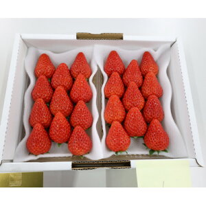 【ふるさと納税】紅ほっぺ・きらぴ香食べ比べセット(各2パック 計4パック)【配送不可地域:離島・北海道・沖縄県・四国・九州】【1676911】