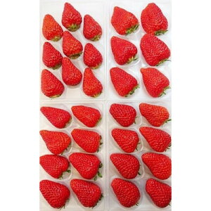 yӂ邳Ɣ[Łzy2026N@s\zÉYuIgق؁v4pbN@1.2kgyzsnFEkCEꌧEkEElEBzy1689359z