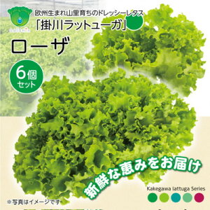 �y�ӂ邳�Ɣ[�Łz�y��������1��×6�Z�b�g�z���[�t���^�X�u�|�색�b�g���[�K�E���[�U�v�y�z���s�n��F�����E�k�C���E���ꌧ�E�l���E��B�z�y1695158�z