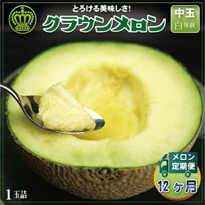 �y�ӂ邳�Ɣ[�Łz�N���E��������(������)����1�ʁE2�ʁE 1�� �S3��E 1�� �S6�� �E1�� �S12��y�z���s�n��F�����E�k�C���E���ꌧ�z�yG1104741�z