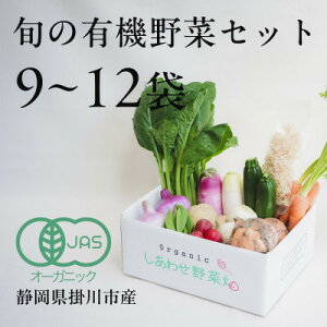 【ふるさと納税】【毎月定期便】しあわせ野菜畑の有機野菜 Lセット (安心の有機JAS認証 オーガニック野菜)全12回【4075081】
