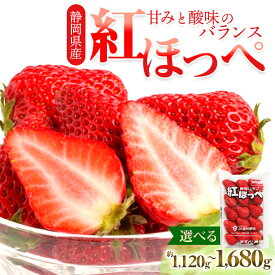 【ふるさと納税】静岡県掛川市産　ミズノ農園の完熟いちご　『紅ほっぺ』約280g×4パック/6パック_ いちご イチゴ 苺 紅ほっぺ フルーツ 果物 国産 人気 おすすめ 送料無料 プレゼント 贈答 ギフト 【配送不可地域：離島・北海道・沖縄県・四国・九州】【G1140800】