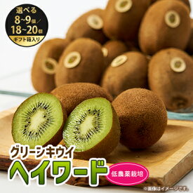 【ふるさと納税】掛川産グリーンキウイ「ヘイワード」ギフト箱入り/8～9個/18～20個【配送不可地域：離島・北海道・沖縄県・四国・九州】【G1603135】
