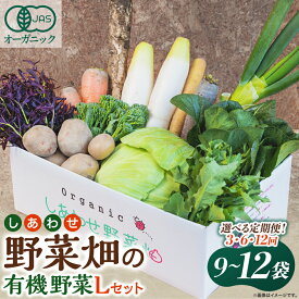 【ふるさと納税】【定期便】しあわせ野菜畑の有機野菜(Lセット)3回、6回、12回(有機JAS認証　オーガニック野菜)【配送不可地域：離島・北海道・沖縄県・四国・九州】【G4066009】