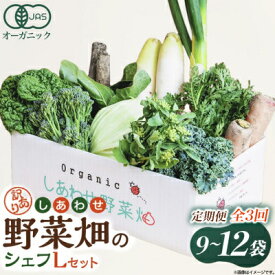 【ふるさと納税】【定期便】しあわせ野菜畑のシェフLセット　(訳あり規格外の有機野菜を一部使用)3回、6回、12回便　【配送不可地域：離島・北海道・沖縄県・四国・九州】【G4066429】