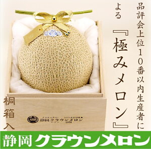 高級 マスクメロンの人気商品 通販 価格比較 価格 Com