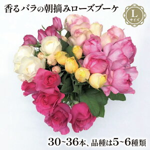 yӂ邳Ɣ[Łz o ԑ u[P E LTCY KN ΂ pt[ [Y  Mtg v[g j ̓ Ǝ 蕨  LO v|[Y  a j җj 