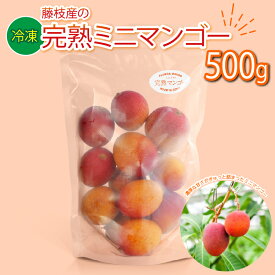 【ふるさと納税】 マンゴー 完熟 冷凍 ミニマンゴー 500g 国産 フルーツ 果物 デザート スイーツ おやつ トッピング 甘い 静岡県 藤枝市