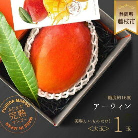 【ふるさと納税】 【先行予約開始】【2026 夏発送】 ふじえだ完熟 マンゴー「 アーウィン 大玉1玉 」糖度約16度 数量限定 果物 国産 フルーツ トロピカルフルーツ 静岡県 藤枝市 ふるさとおすすめ