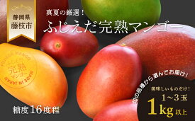 【ふるさと納税】 完熟マンゴー 1kg 糖度約16度程 2026年7月頃順次発送 厳選 フルーツ 果物 国産 マンゴー 数量限定 トロピカルフルーツ アーウィン マハチャノック ナンドクマイ 紅キンコウ キーツ 夏 静岡県 藤枝市