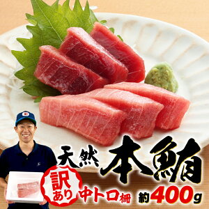 yӂ邳Ɣ[Łz 󂠂 ܂ VR { Ƃ 400g s^ Ⓚ Ђ }O bP CN  hg g  ̂ Ԑg ubN Hp hgp il^  VN { O 