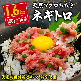 【ふるさと納税】 訳あり ネギトロ まぐろ 約1,6kg 数量限定 期間限定 企画 で お届け16袋 100g × 16パック 小分け ねぎとろ 鮪 まぐろのたたき 魚 魚介 新鮮 天然 目鉢 マグロ キハダ 冷凍 すきみ タタキ 寿司 すし 手巻き寿司 人気 送料無料 静岡 藤枝