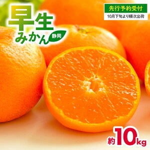 yӂ邳Ɣ[Łz s\ 2025N10{-\ Iׂe  ݂ 6kg-10kg ÉY ʕ Y t[c k  ~J s r^~ { G p 蕨 Mtg Yn 