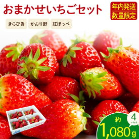 【ふるさと納税】 【先行予約 2025年11月より順次発送】 フレッシュ いちご 1kg 以上 おまかせ 数量限定 苺 年内配送 産地 直送 イチゴ 紅ほっぺ きらぴ香 かおり野 フルーツ 果物 国産 ジャパンベリー 静岡県 藤枝市