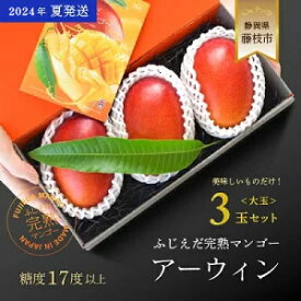 【ふるさと納税】 先行予約 完熟マンゴー大玉 3個 アーウィン マンゴー 糖度 17 以上 厳選 フルーツ 果物 国産 マンゴー マンゴーフルーツ トロピカルフルーツ 2024年6月より順次発送 静岡県 藤枝市