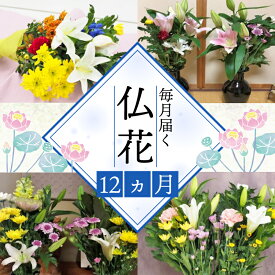 【ふるさと納税】 定期便 12回 12ヶ月 お届け お供えのお花DX（生花組花2束）1年コース 百合 ユリ 菊 カーネーション 花 フラワー ギフト お仏壇 お墓 お参り 法要 法事 御供 お供え用 静岡県 藤枝市