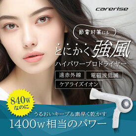 【ふるさと納税】 ドライヤー イオン ヘアドライヤー 強風 タイプ TF-2408 ケアライズイオン 温風 冷風 ヘアケア プラズマ 美容 セラミック 速乾 電磁波低減 節電対策 スタイリング ケア BLDCモーター 藤枝市 静岡県