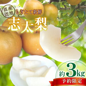 yӂ邳Ɣ[Łz ys\F2025N9ȍ~oׁz  3`5kg u ʕ t[c Yn  ƒp Ȃ }Y Â Md헜  藜 {̗ É }s