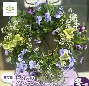 yӂ邳Ɣ[Łz s\ pW[ rI nMO [X 񂹐A   t[ K[fjO  x_ Ǌ| 蕨 Mtg G߂̉ ~ t s\ 2025N11 