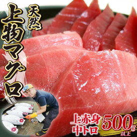 【ふるさと納税】 天然 上物 マグロ さく 上赤身 中トロ セット 2種 計500g以上 冷凍 まぐろ 鮪 刺身 海鮮 グルメ 高級 寿司ネタ 本マグロ 赤身 とろ 贈答用 お取り寄せ 魚介類 食品 トロ 贅沢 新鮮 美味しい 藤枝市 静岡県